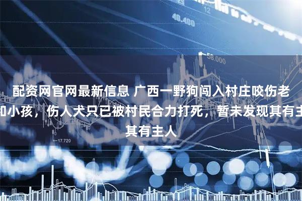 配资网官网最新信息 广西一野狗闯入村庄咬伤老人和小孩，伤人犬只已被村民合力打死，暂未发现其有主人